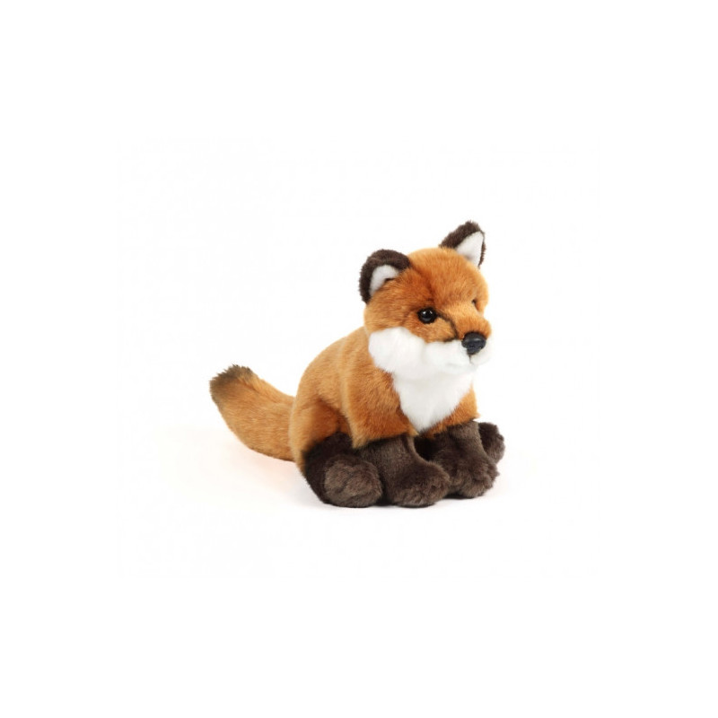 Living nature - Sitting Fox