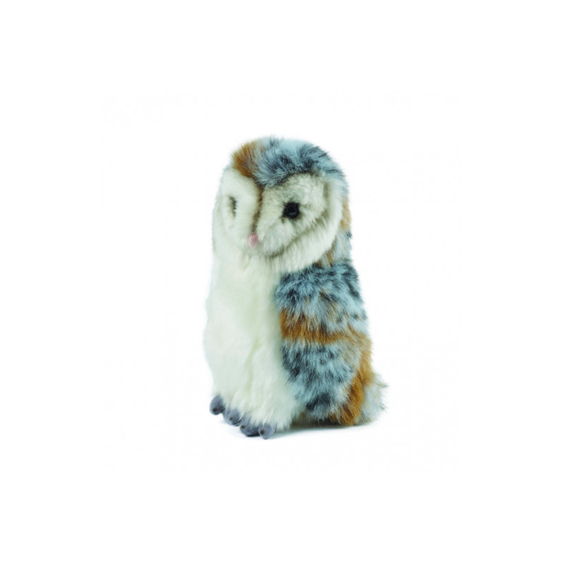 Living nature - Barn Owl Medium