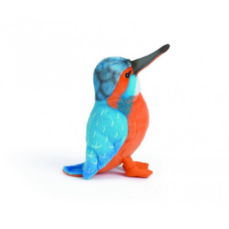 Living nature - Kingfisher