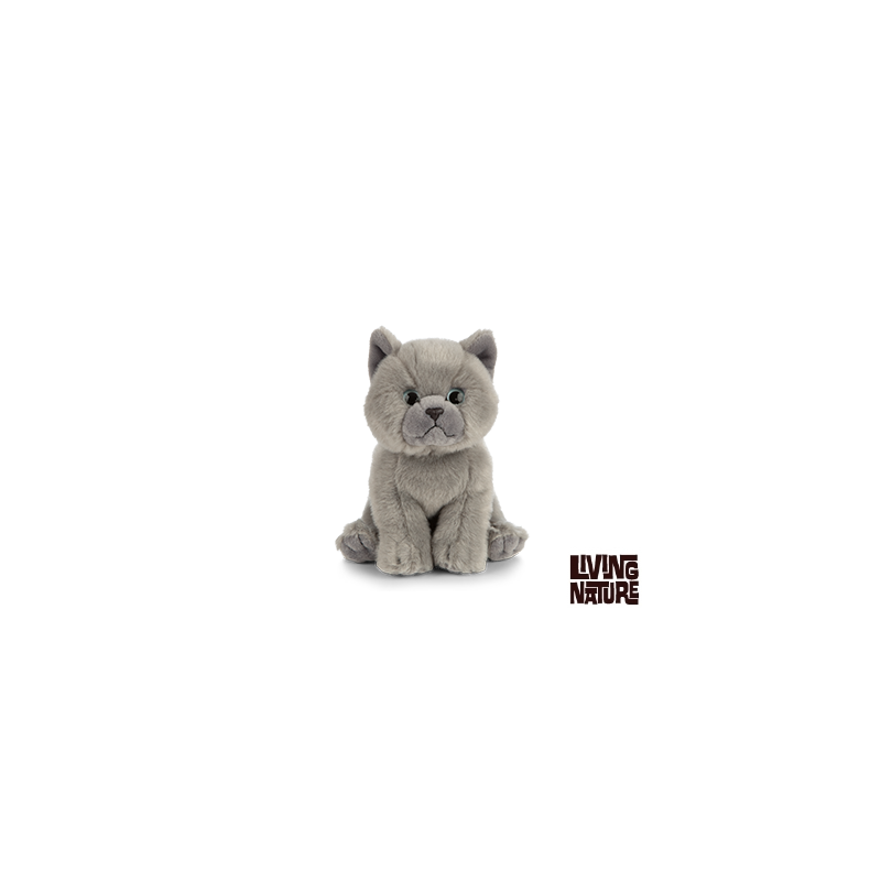 Living nature - British Grey Shorthair Kitten