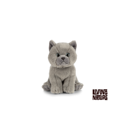 Living nature - British Grey Shorthair Kitten