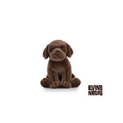 Living nature - Chocolate Labrador Puppy