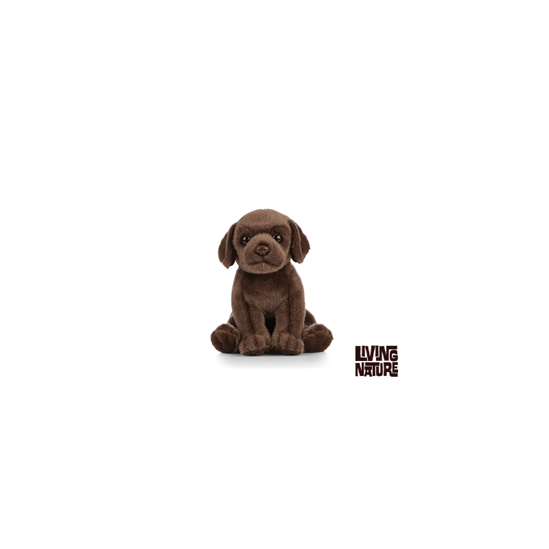 Living nature - Chocolate Labrador Puppy