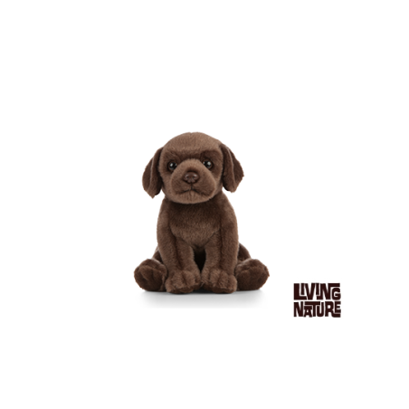 Living nature - Chocolate Labrador Puppy