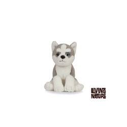 Living nature - Husky Puppy