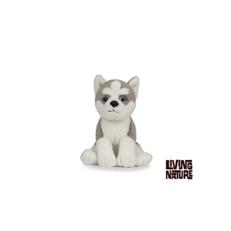 Living nature - Husky Puppy