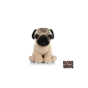 Living nature - Pug Puppy