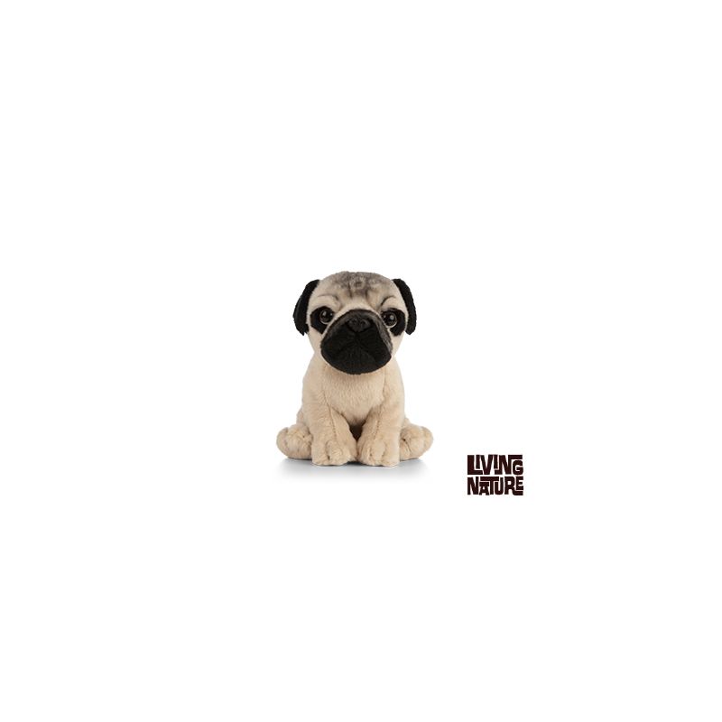 Living nature - Pug Puppy