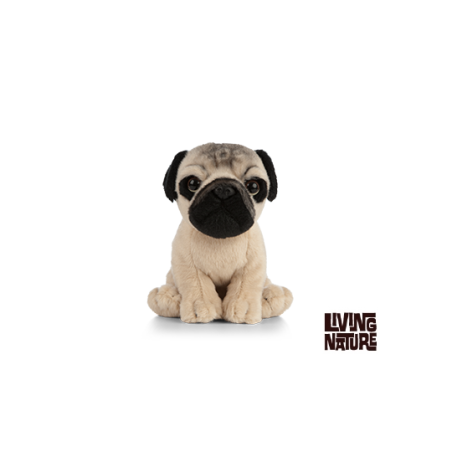 Living nature - Pug Puppy