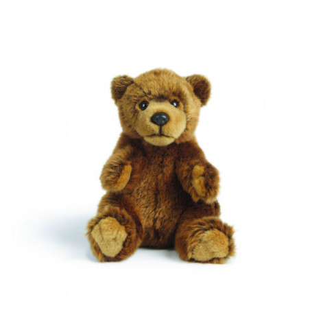 Living nature - Brown Bear