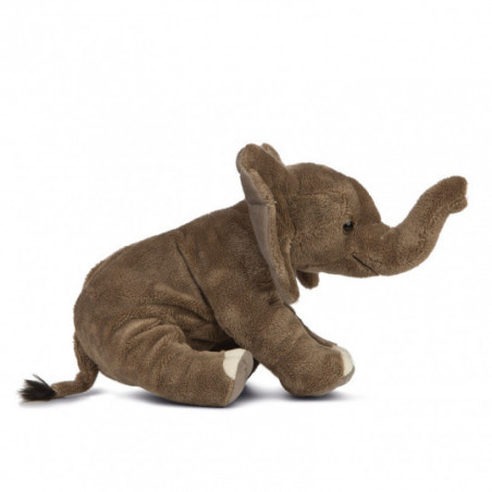 Living nature - Floppy Elephant