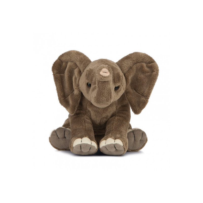 Living nature - Floppy Elephant