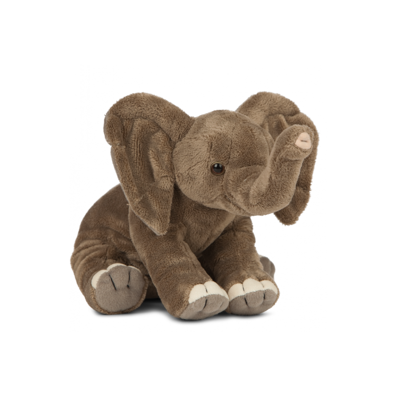 Living nature - Floppy Elephant