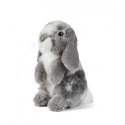 Living nature - Grey Sitting Lop Eared Rabbit