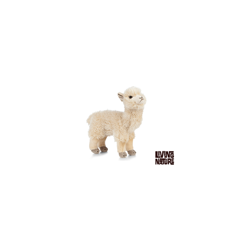 Living nature - Alpaca