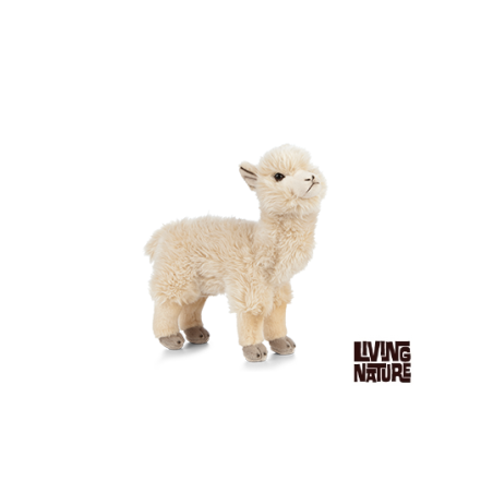 Living nature - Alpaca