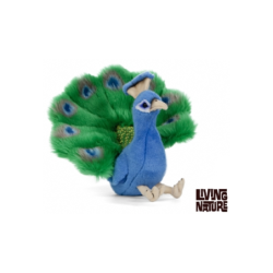 Living nature - Peacock