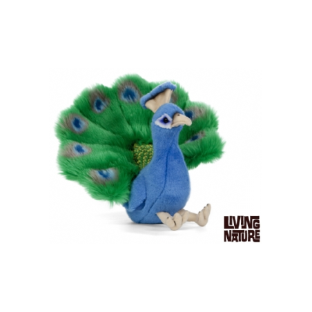 Living nature - Peacock