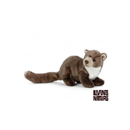 Living nature - Pine Marten