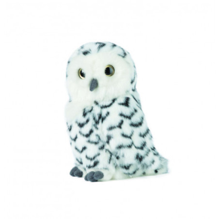 Living nature - Snowy Owl with Turning Head