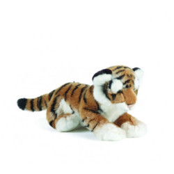 Living nature - Tiger Cub