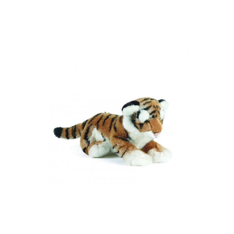 Living nature - Tiger Cub