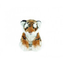 Living nature - Tiger Cub