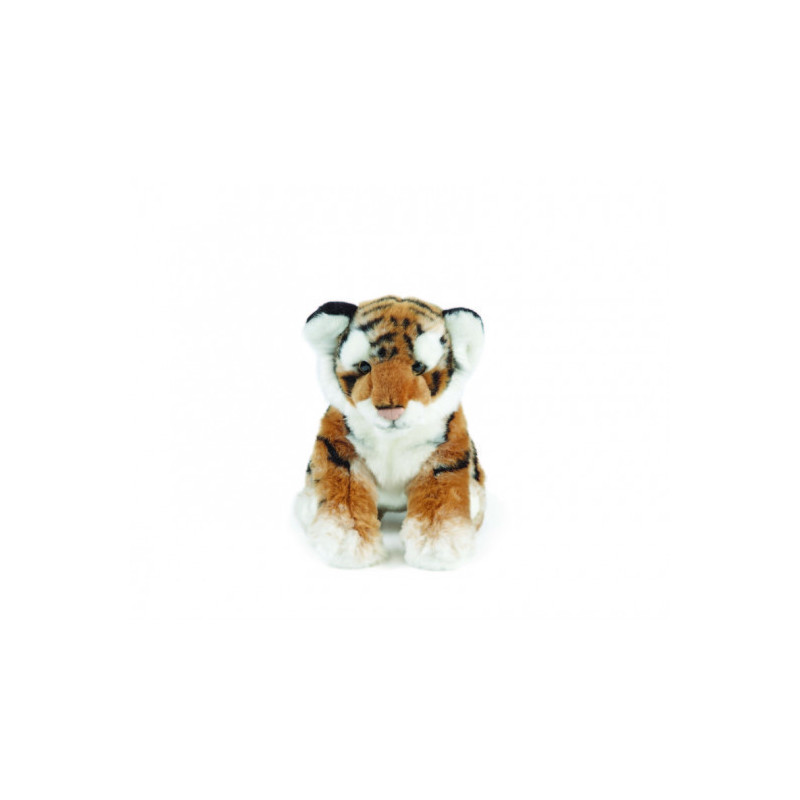 Living nature - Tiger Cub