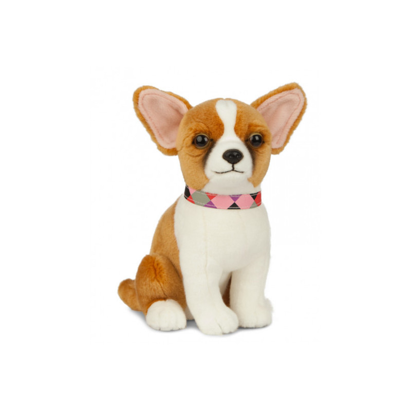 Living nature - Chihuahua