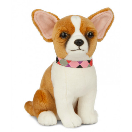 Living nature - Chihuahua