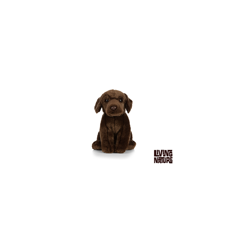 Living nature - Chocolate Labrador