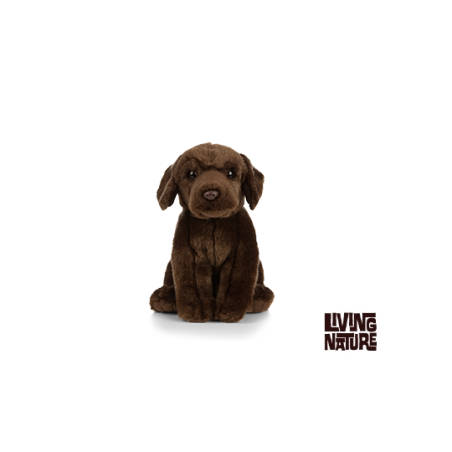 Living nature - Chocolate Labrador