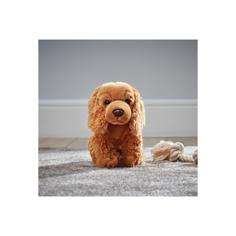 Living nature - Cocker Spaniel