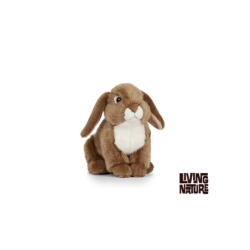 Living nature - French Lop Eared Rabbit