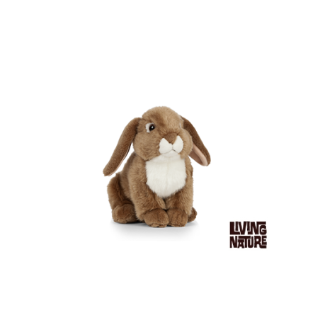 Living nature - French Lop Eared Rabbit