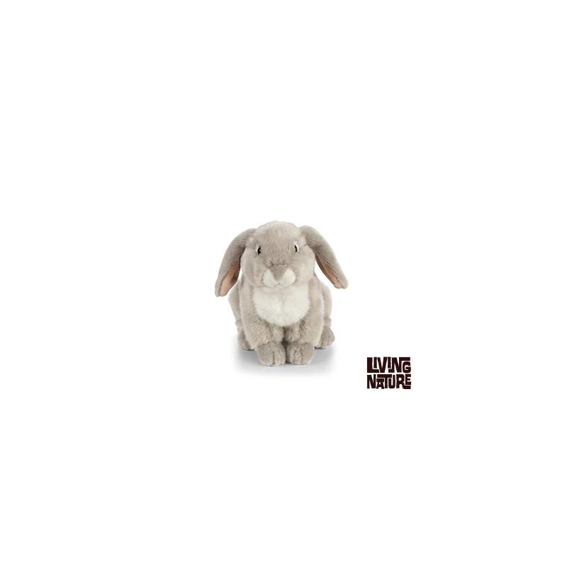 Living nature - French Lop Eared Rabbit