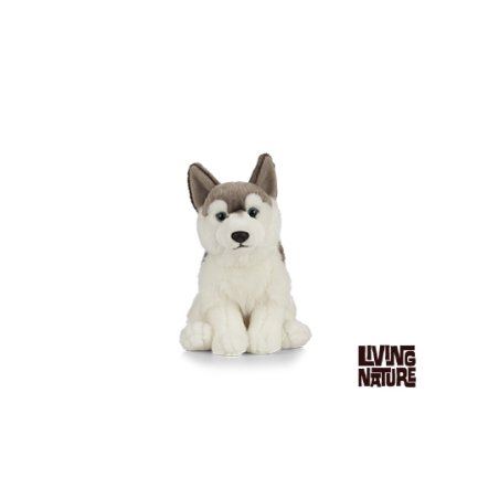 Living nature - Husky