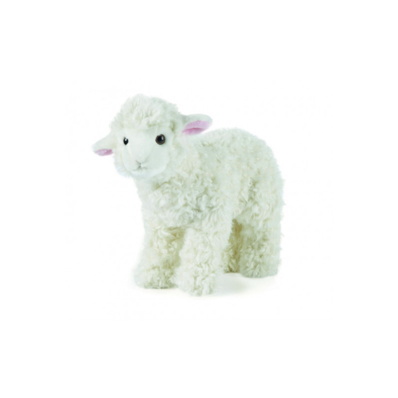 Living nature - Lamb Large