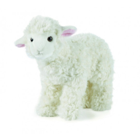 Living nature - Lamb Large