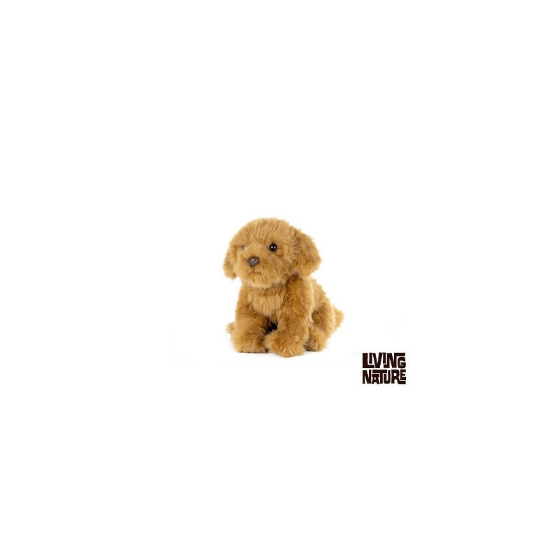 Living nature - Cavapoo