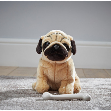 Living nature - Pug