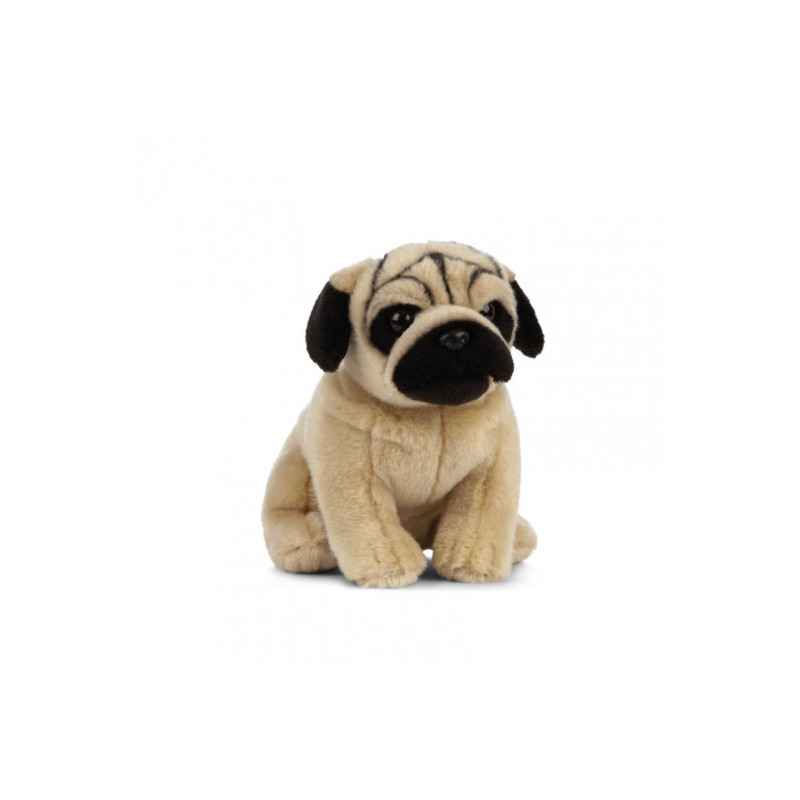 Living nature - Pug