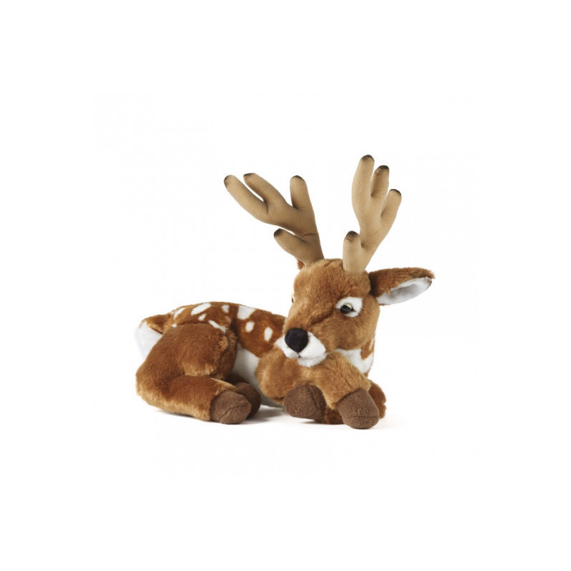 Living nature - Deer with Antlers