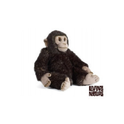 Living nature - Chimp