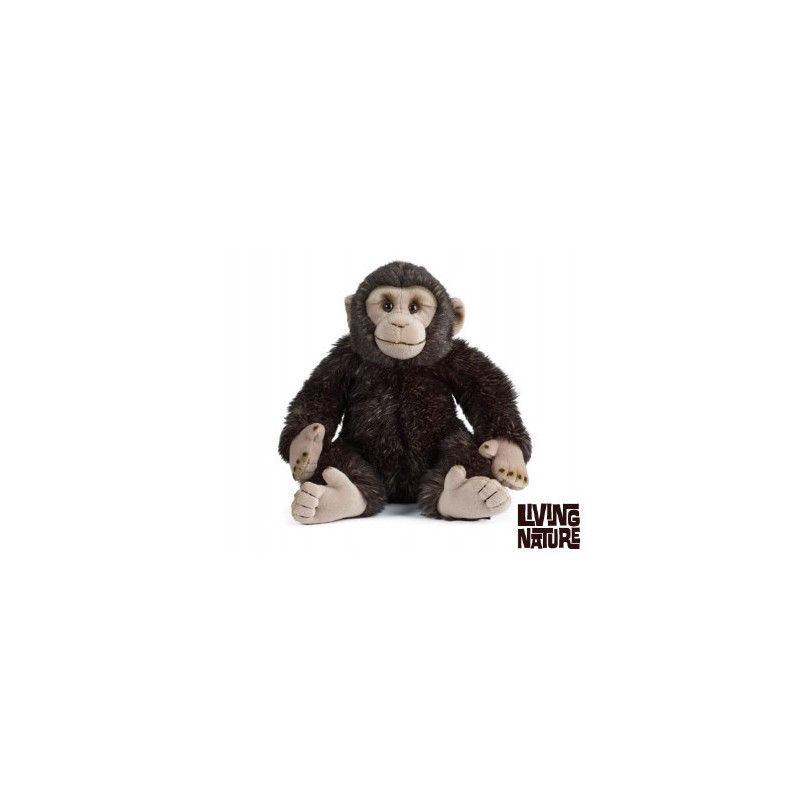 Living nature - Chimp