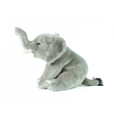 Living nature - Elephant