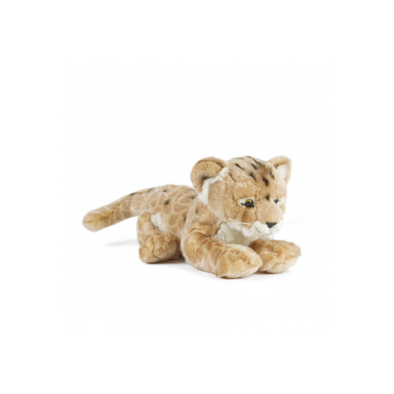 Living nature - Lion Cub