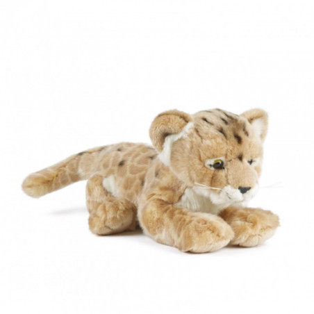 Living nature - Lion Cub