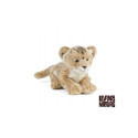 Living nature - Lion Cub