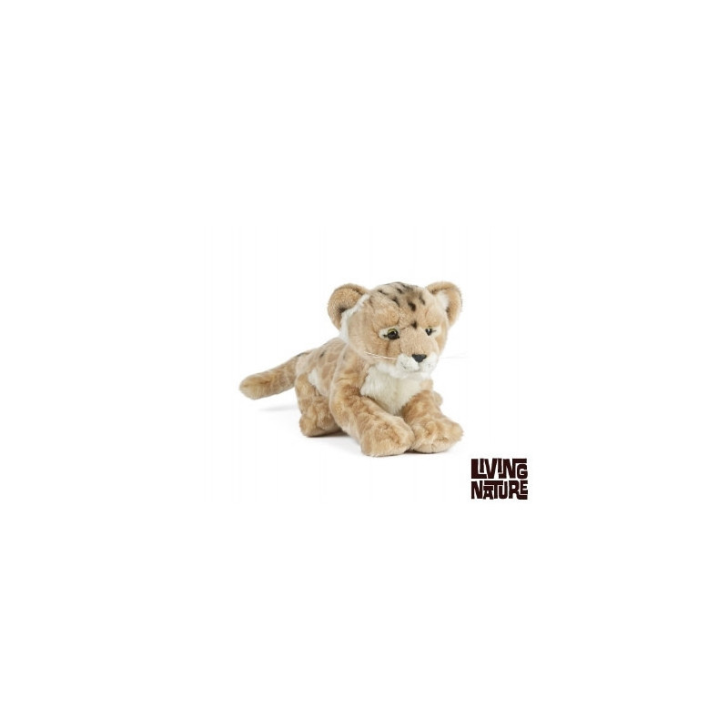 Living nature - Lion Cub